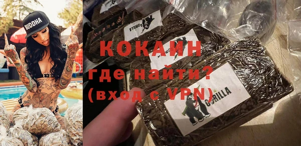 амф Верея