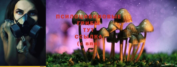 амф Верея