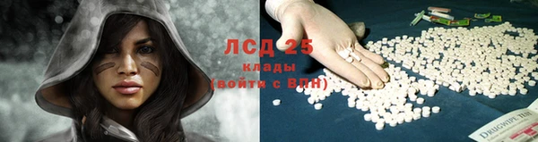 амф Верея