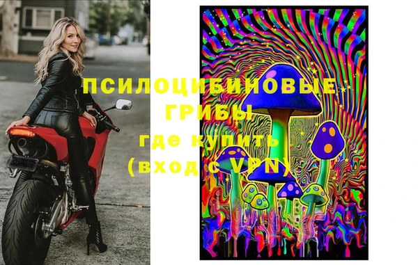 амф Верея