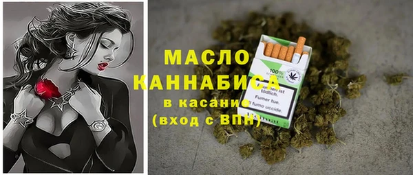 твердый Снежногорск
