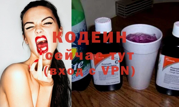 твердый Бородино